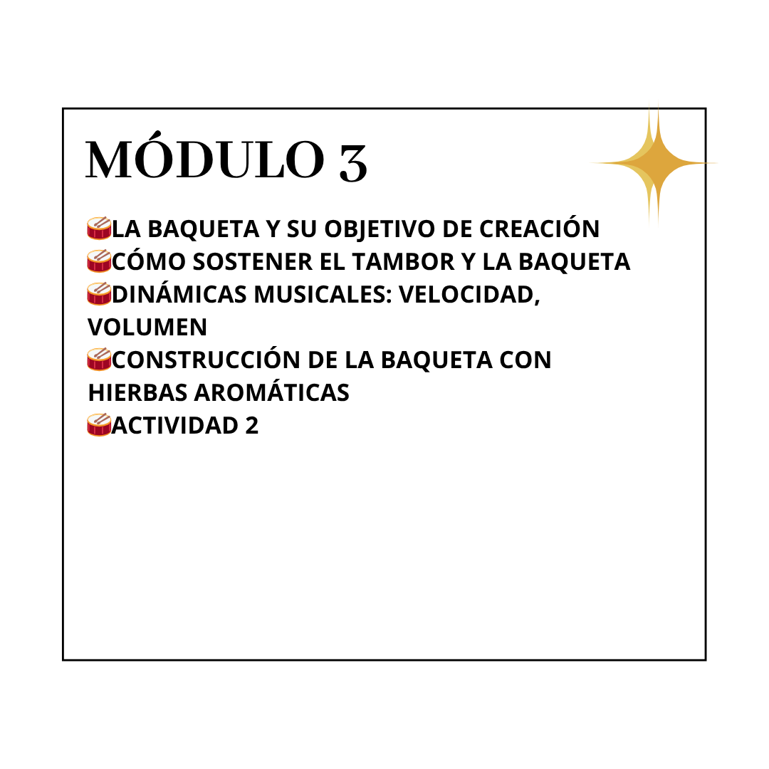 Lección 10: La baqueta y su objetivo de creación Lección 11: Cómo sostener el tambor y la baqueta Lección 12: Dinámicas musicales: velocidad, volumen Lección 13: Construcción de la baqueta con hierbas aromáticas Actividad 2: